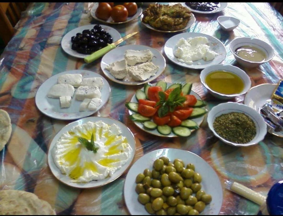 فندق وادي رمفي  Bedouin Adventure & Tours المظهر الخارجي الصورة